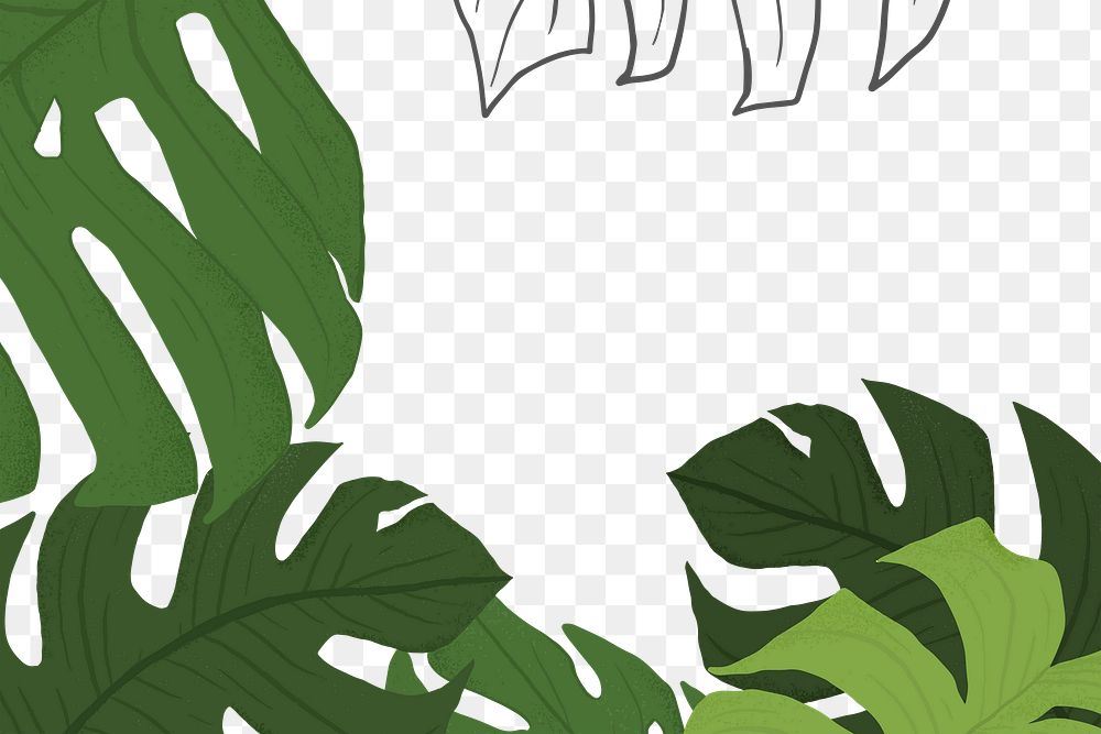 PNG monstera plant frame sticker botanical illustration