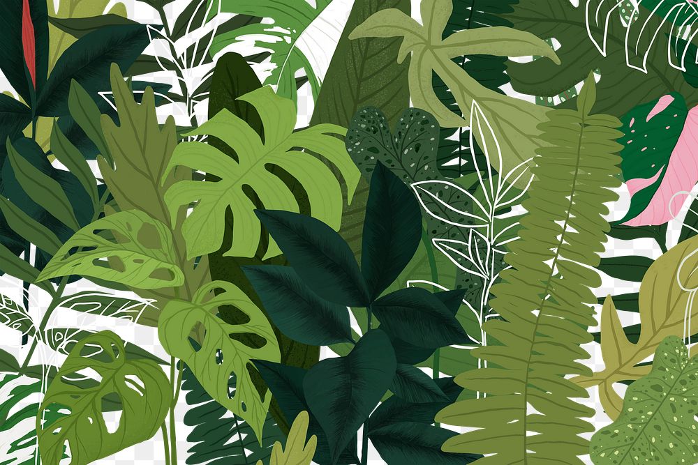Background PNG green tropical illustration