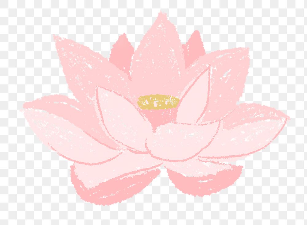 Lotus png flower sticker pink illustration