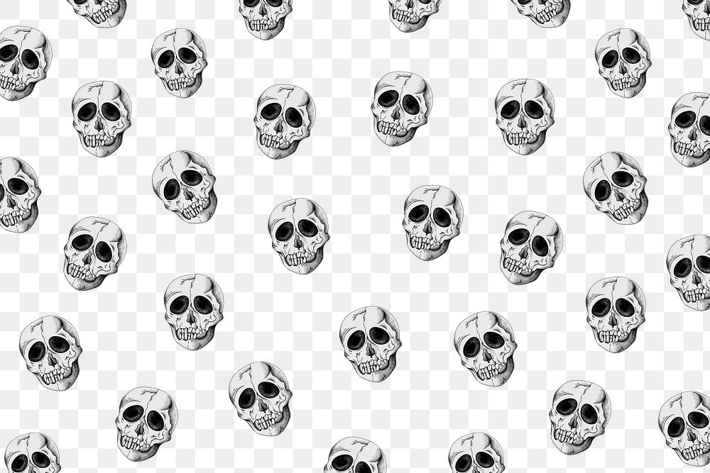 Skull png transparent pattern background