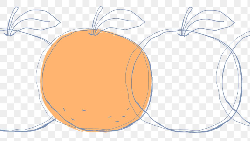 Orange fruit png hand drawn copy space