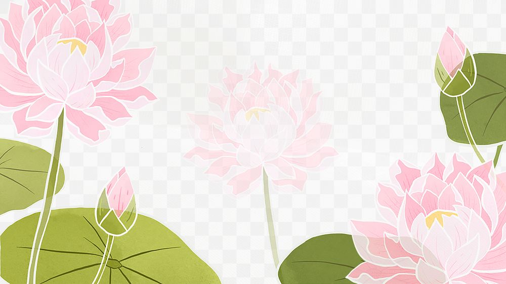 Png hand drawn water lily transparent background