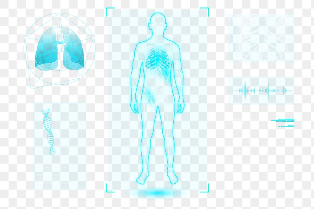 Png human body medical holography