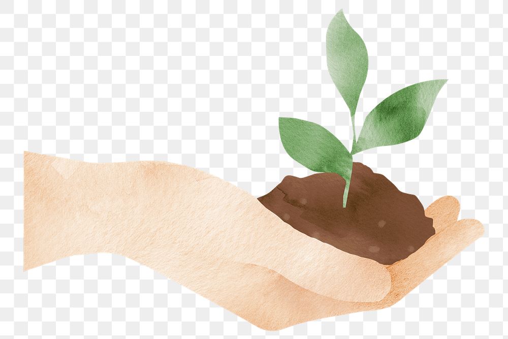 Png hand holding plant design element