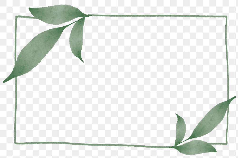 Png rectangle frame with leaf design