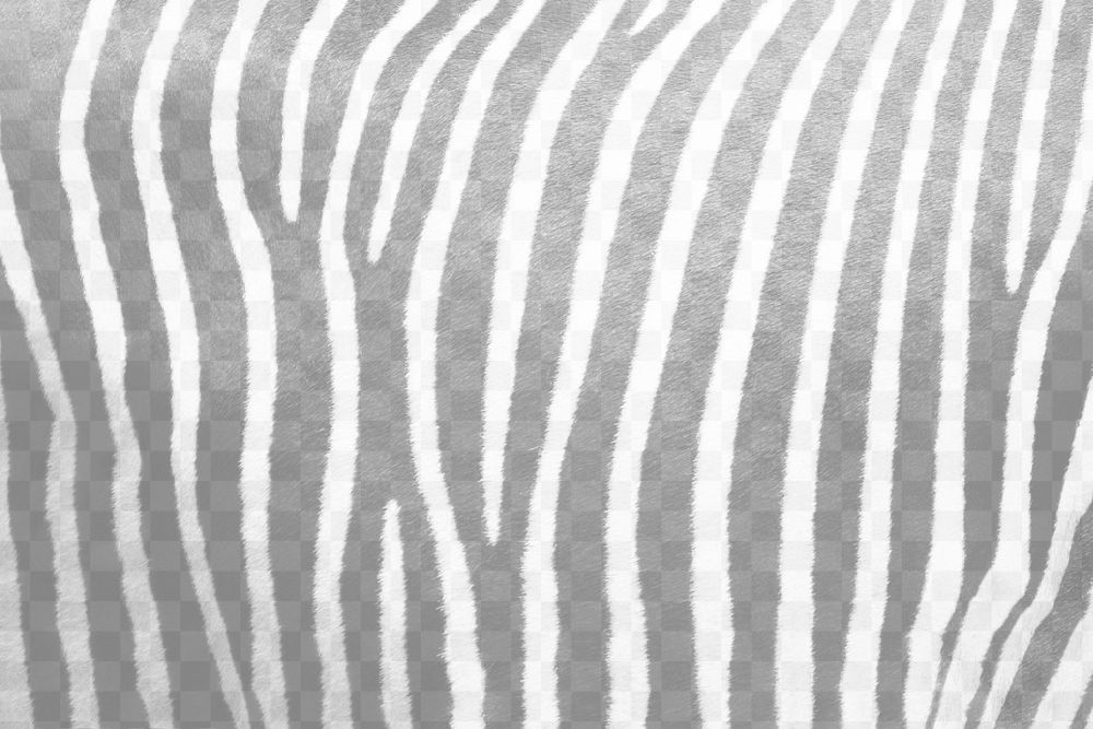 Zebra pattern png overlay, abstract design on transparent background 