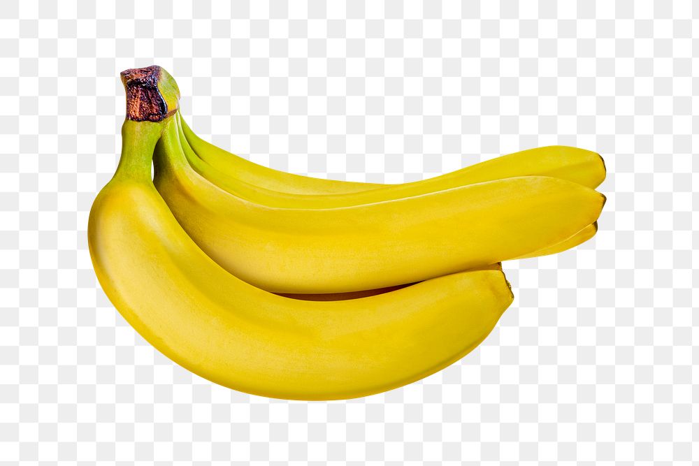 Banana stalk png clipart, yellow fruit on transparent background