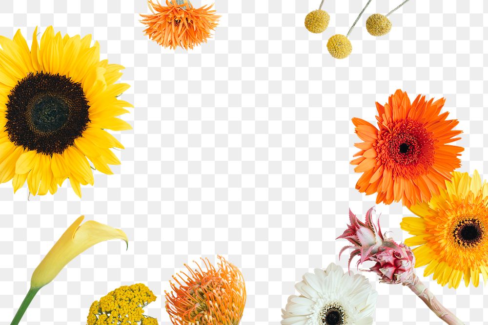 Coloful flower frame transparent png