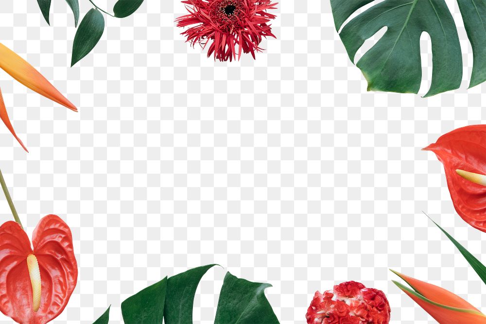 Colorful tropical flowers frame transparent png