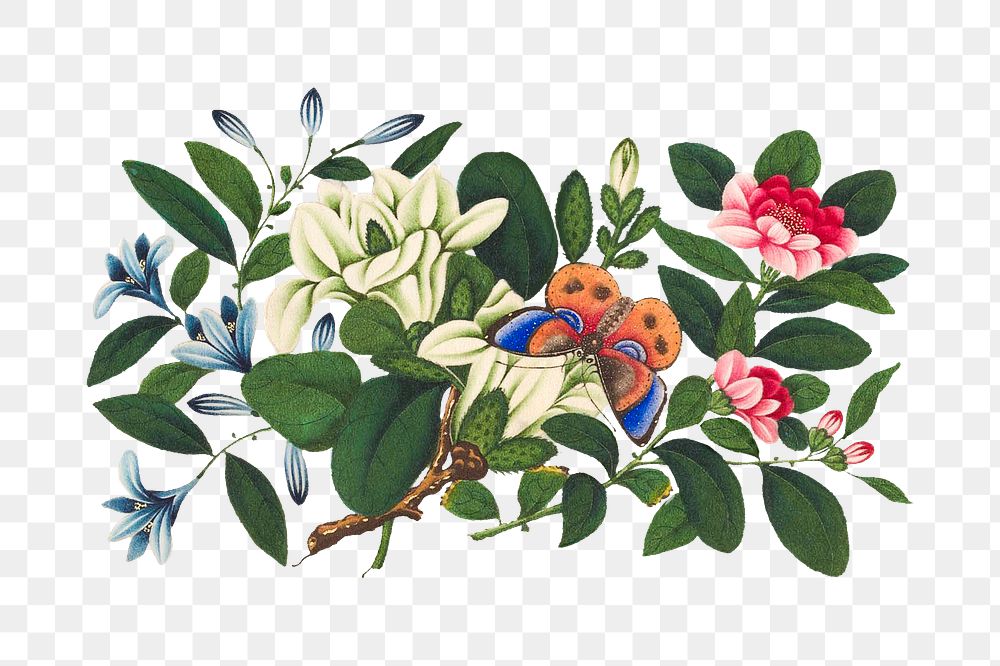 Vintage illustration of Chinese flowers transparent png