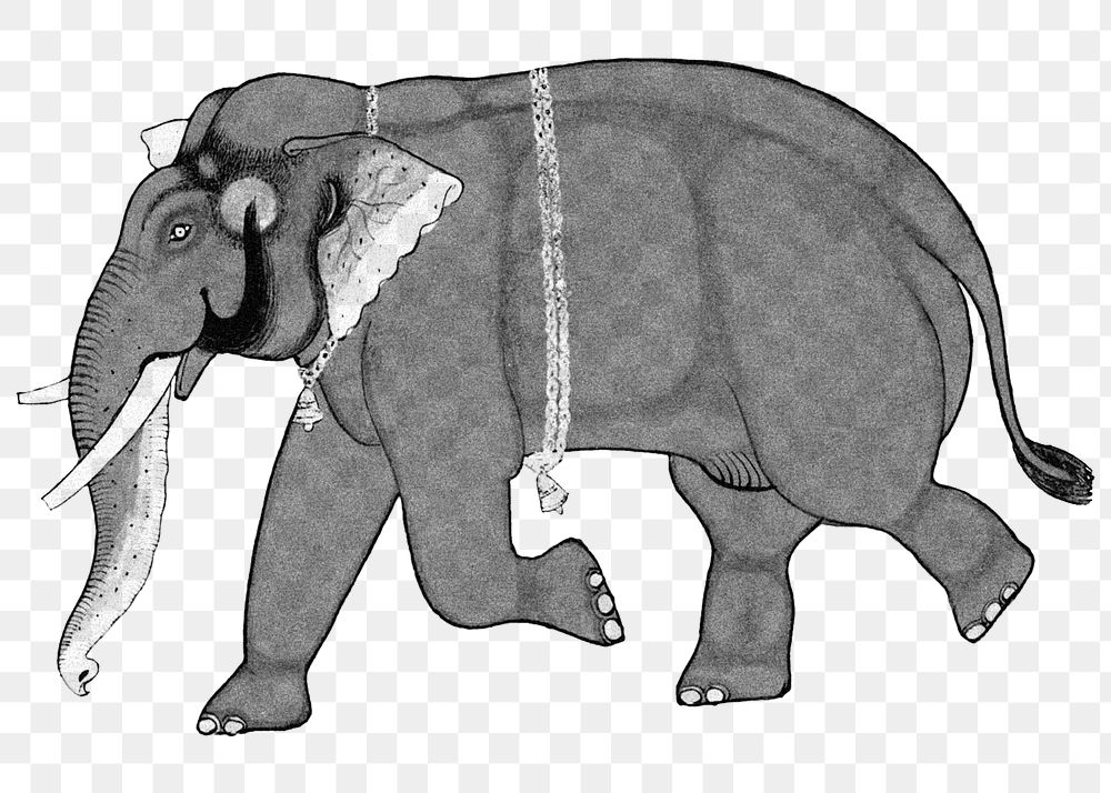 Vintage monochrome elephant design element