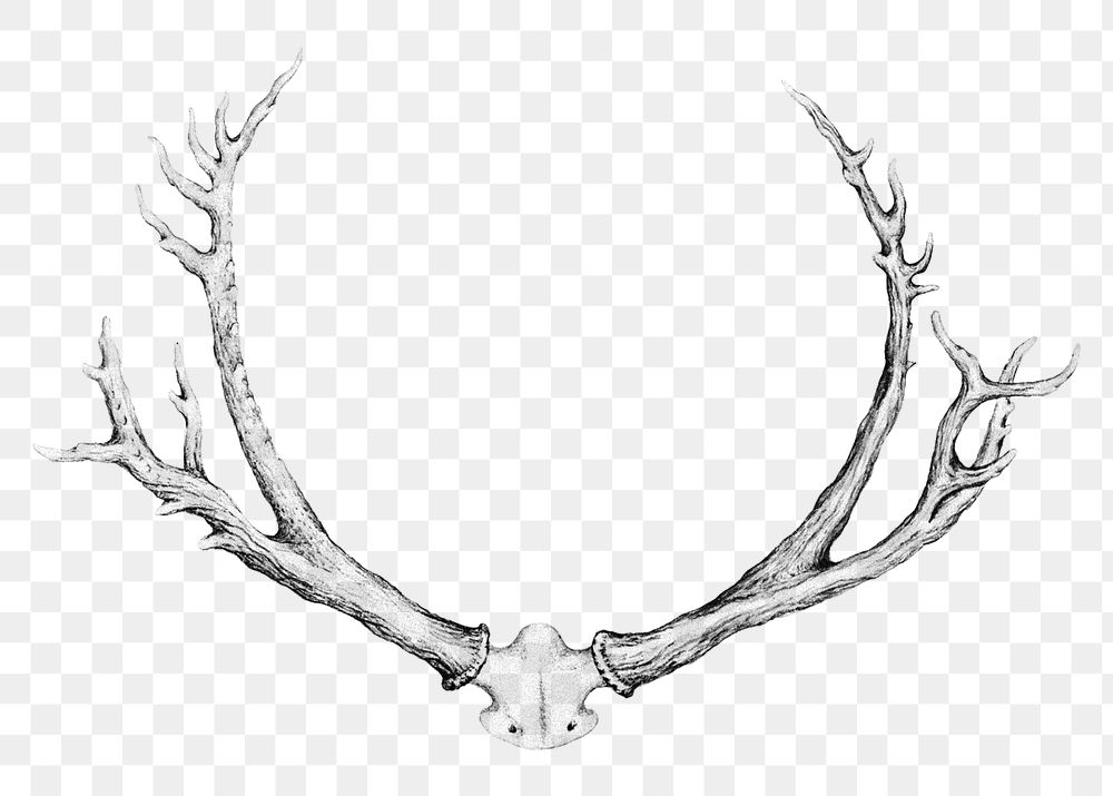 Vintage monochrome deer antlers design element