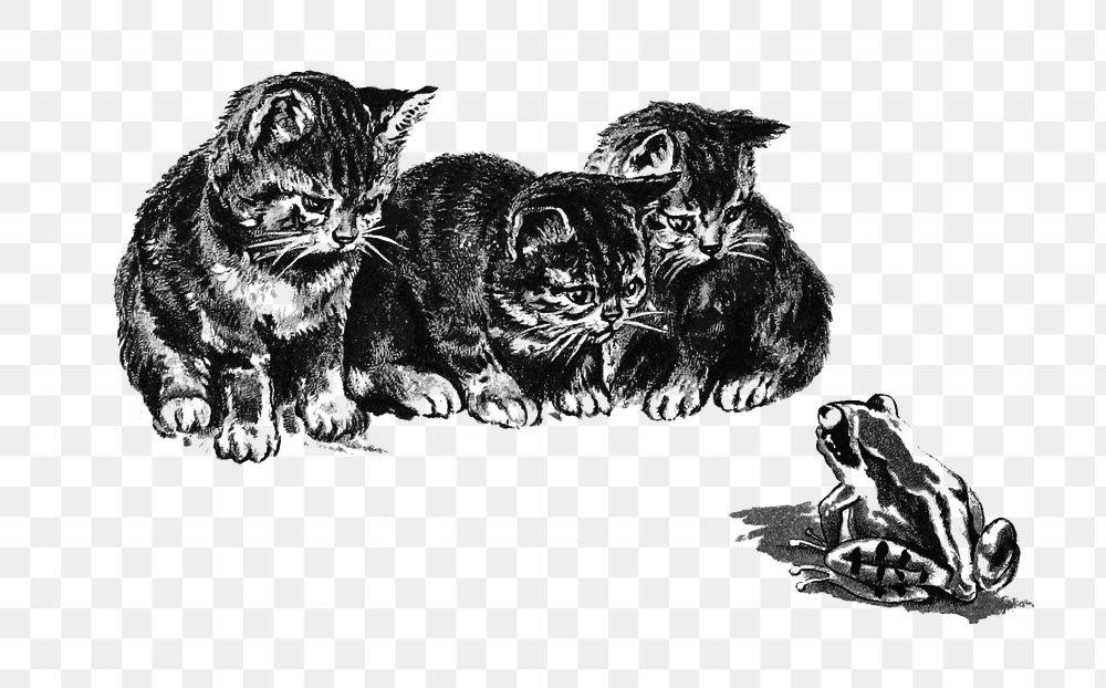 PNG Drawing of kittens and a toad, transparent background