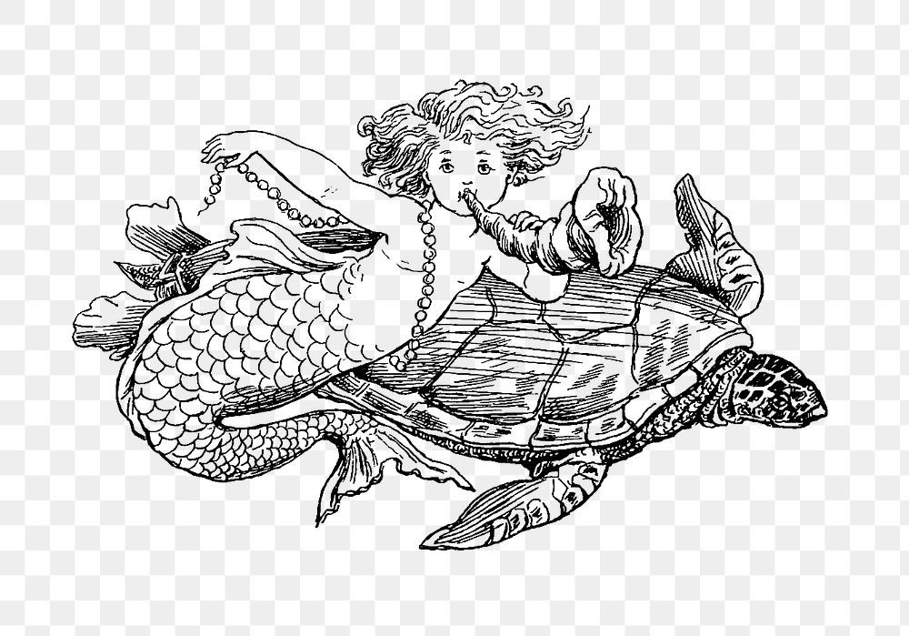 PNG Drawing of a mermaid and a turtle, transparent background