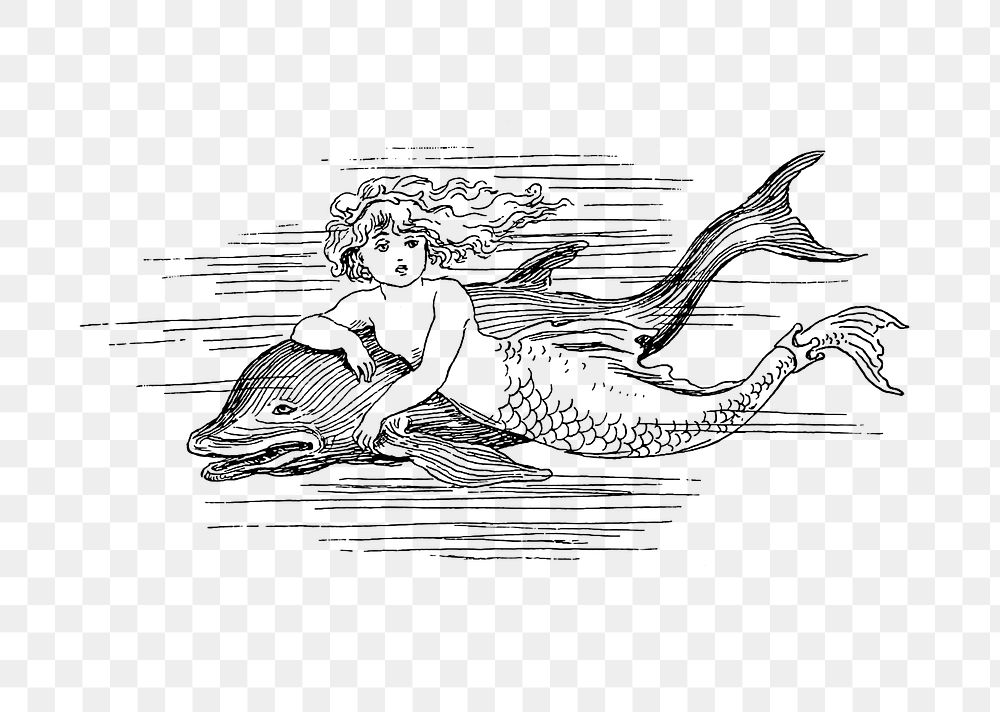 PNG Drawing of a mermaid and a dolphin, transparent background