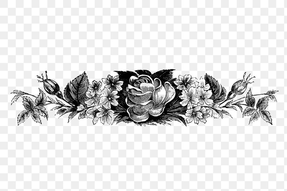 PNG Vintage Victorian style blooming flower engraving, transparent background