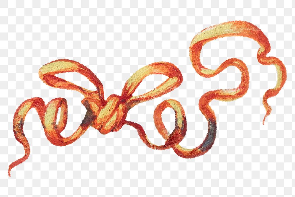Heraldic medieval ribbon knot png