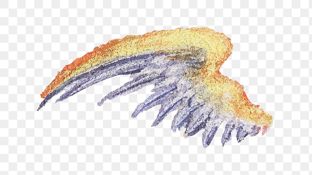 Png colorful mythical wings painting ornament