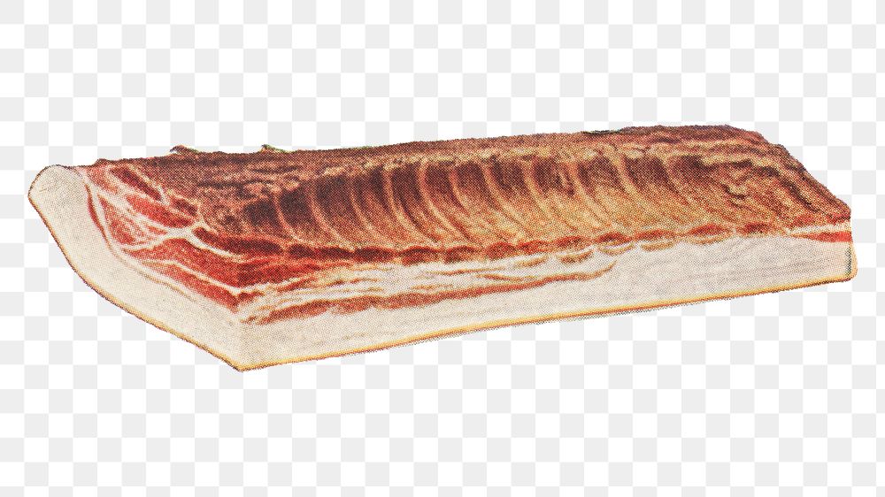 Vintage piece of prime back bacon design element