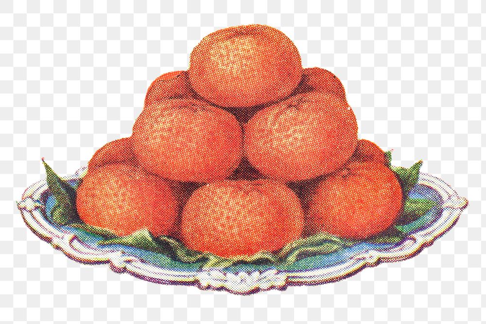 Vintage hand drawn tangerines design element