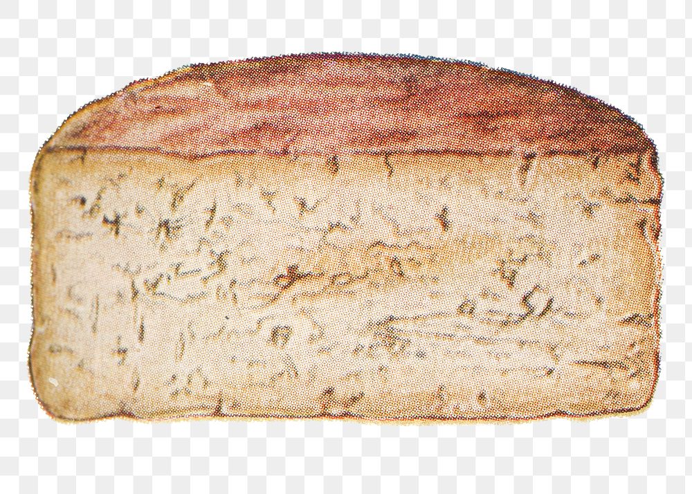 Vintage hand drawn gorgonzola cheese design element