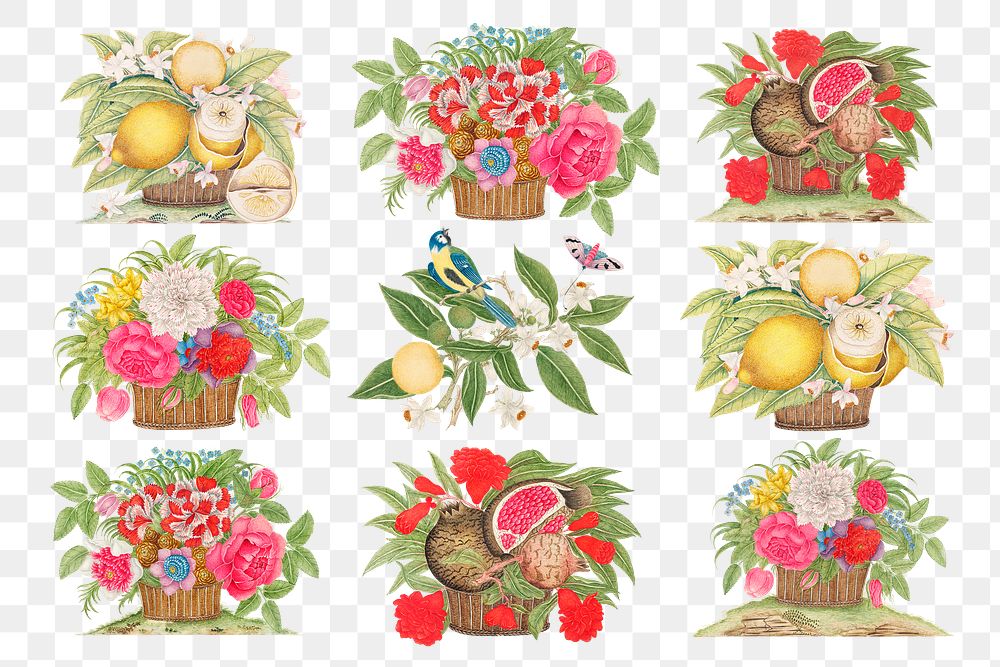 Vintage basket of flowers and fruits png illustration set, remixed from the 18th-century artworks from the Smithsonian…