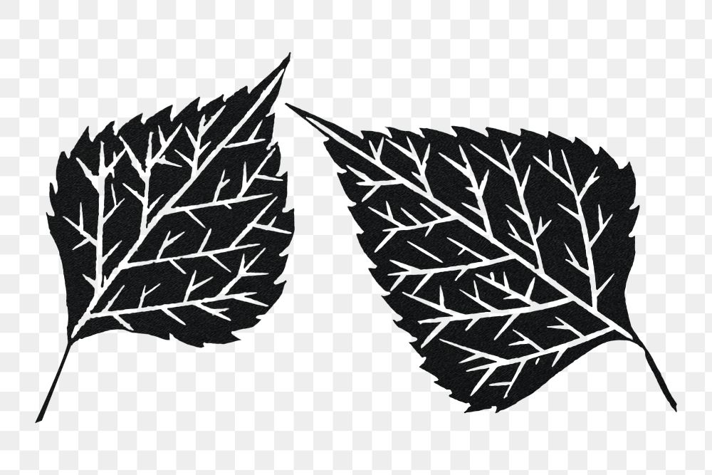 Vintage black leaves png art print illustration, remix from artworks by Samuel Jessurun de Mesquita