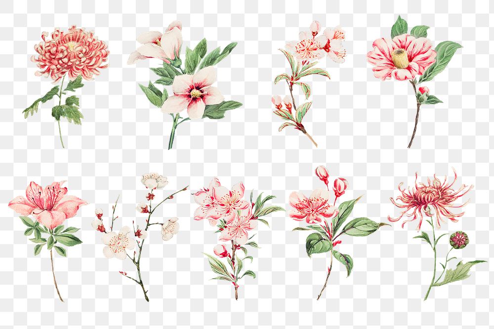 Vintage Japanese pink flower png art print set, remix from artworks by Megata Morikaga