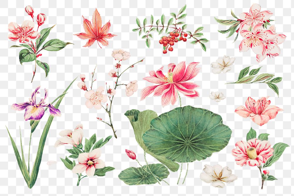 Japanese plant png art print, remix from artworks by Megata Morikaga