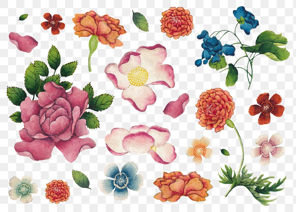 Chinese flower png sticker set, remix from artworks by Zhang Ruoai