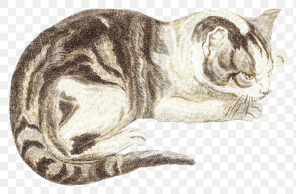 Png cat sticker cute animal illustration