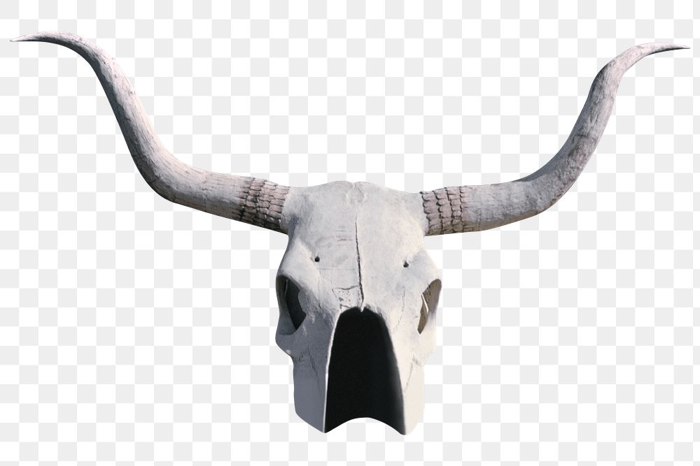 Png bull skull with horns, remixed from artworks by John Margolies