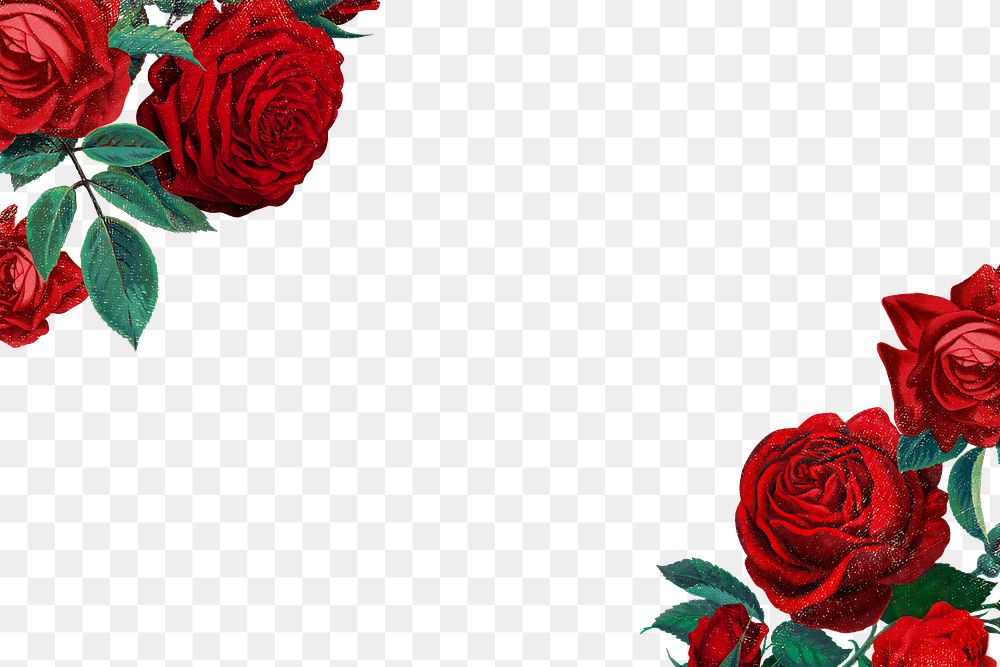 Red rose png border frame, transparent background