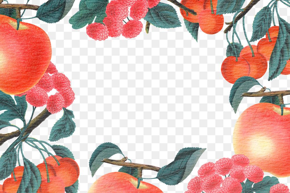 Botanical frame png apple & flower transparent background