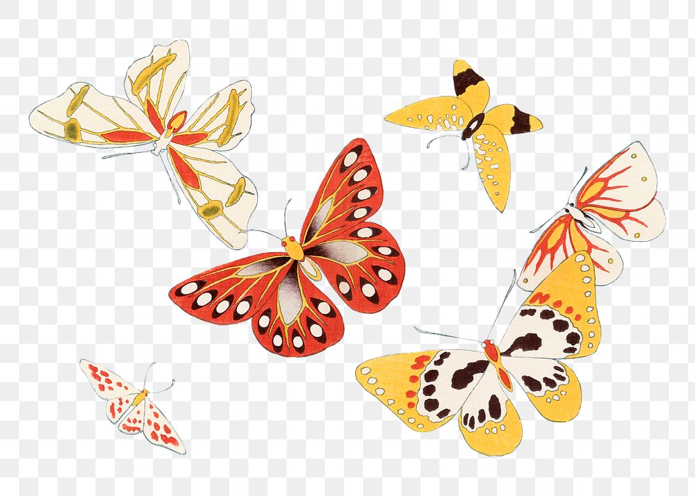  Butterfly png clipart Japanese art, drawing illustration