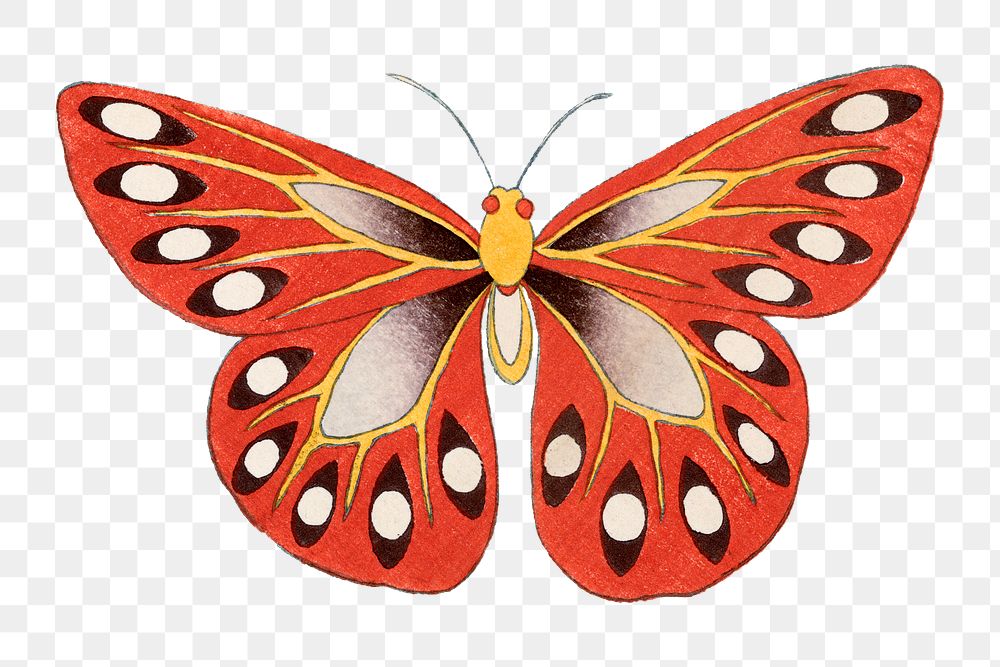 Vintage butterfly png clipart, watercolor design, transparent background