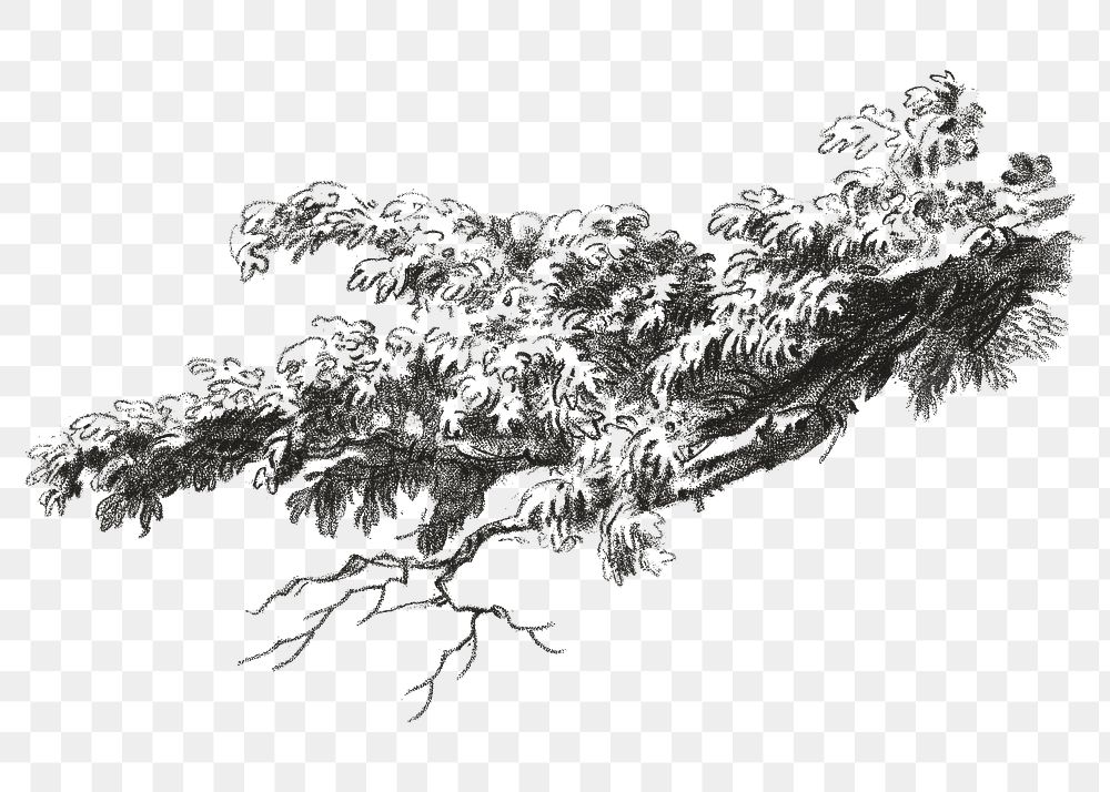 Vintage tree parts botanical png illustration, remix from artworks by Gilles Demarteau