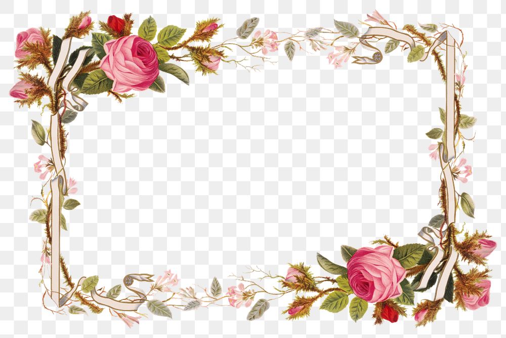 Vintage pink roses png border frame illustration, remix from artworks by L. Prang & Co.