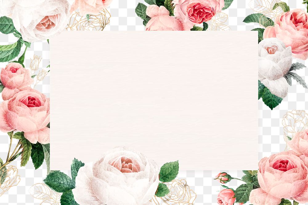 Pink cabbage rose rectangled frame design element