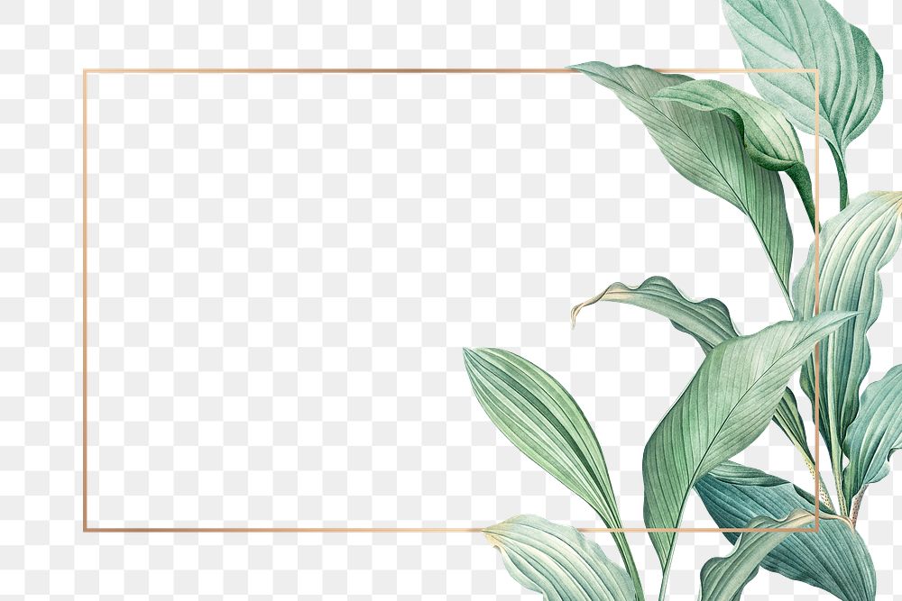 Gold frame decorated with hand drawn tropical leaves transparent background png