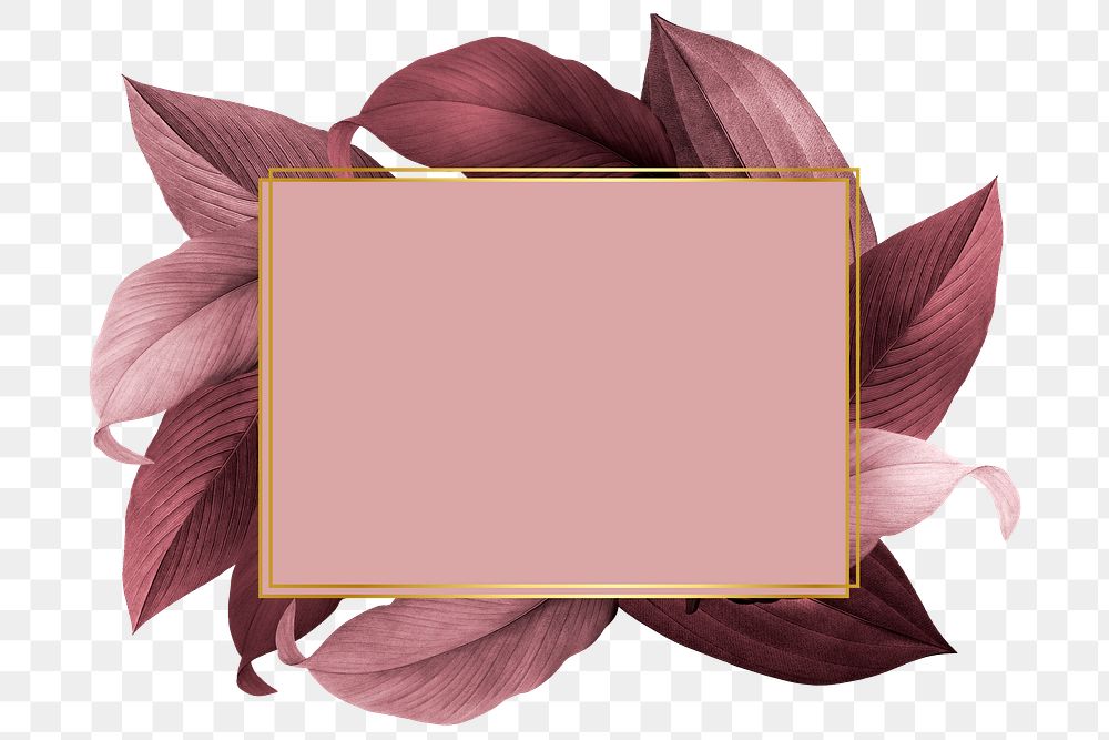 Pink leaves with rectangle frame design element