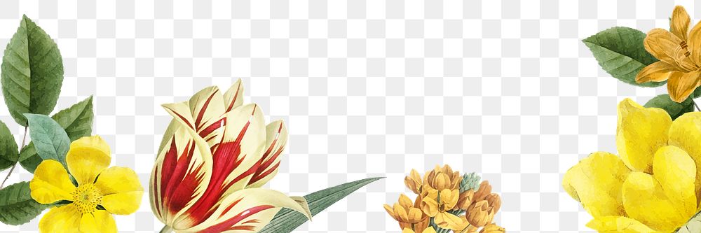 Yellow spring flowers decorated banner design element