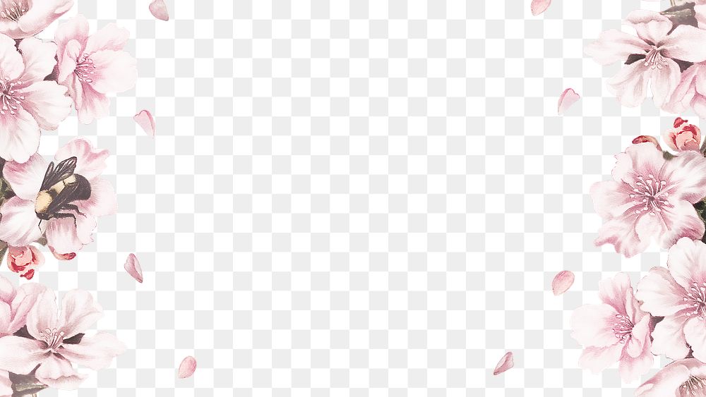 Pink cherry blossom flower branch border frame on transparent background