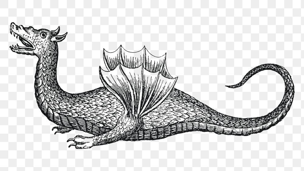 Vintage dragon illustration png, remixed from artwork by Athanasius Kircher.