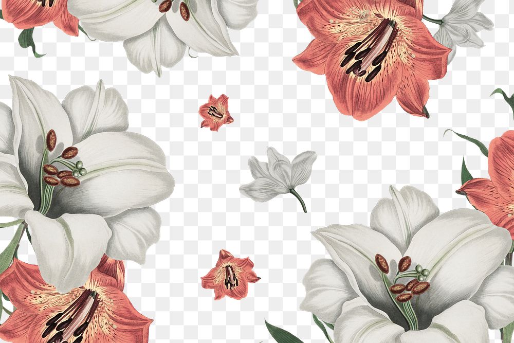 Vintage white and orange lily flower pattern background design resource