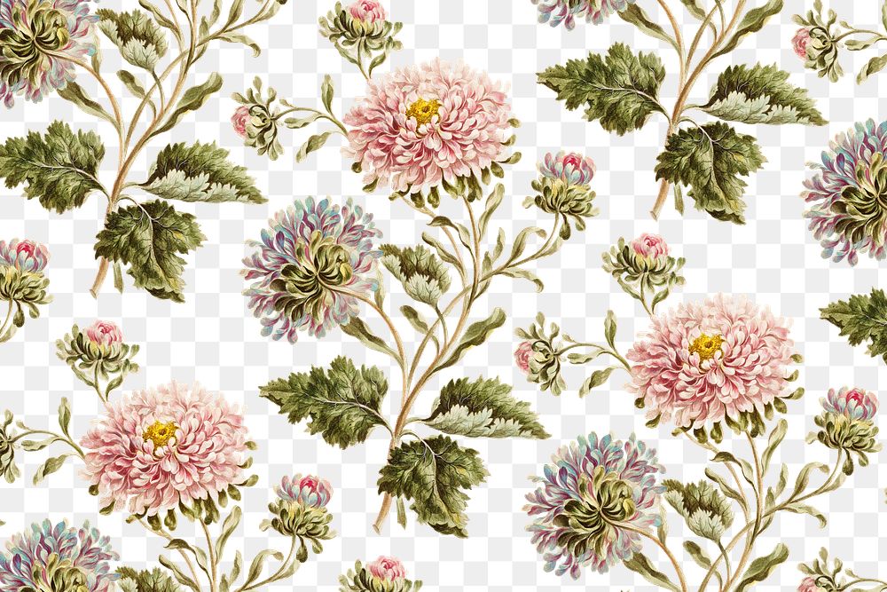 Vintage large double china aster flower… | Free stock illustration | High Resolution graphic Vintage large double china aster flower pattern background design resource