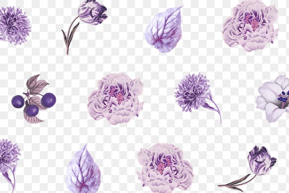 Vintage purple flower, leaf and fruit pattern… | Free stock illustration | High Resolution graphic Vintage purple flower, leaf and fruit pattern background design resource
