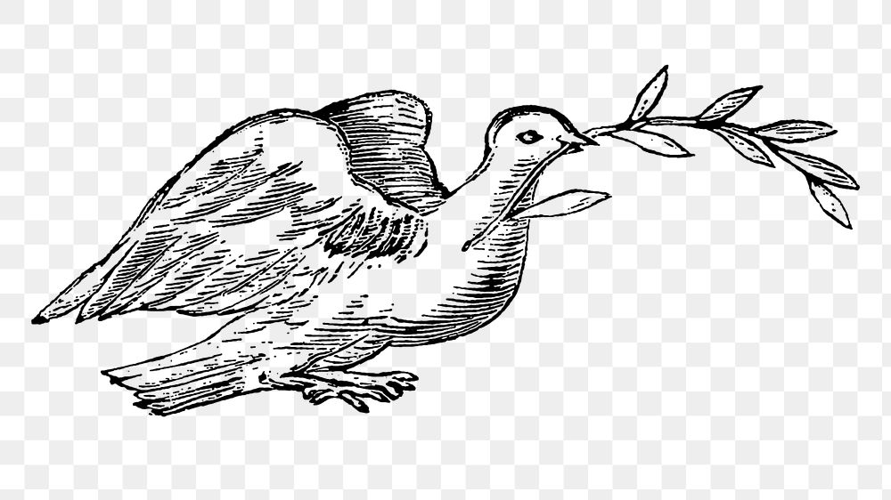 Vintage png black and white dove with olive branch, featuring public domain artworks