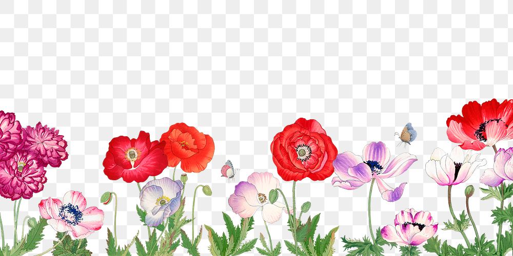 Poppy flower png border, vintage Japanese art, transparent background