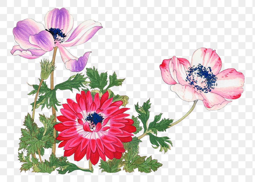 Poppy png sticker, Japanese ukiyo e art, transparent background